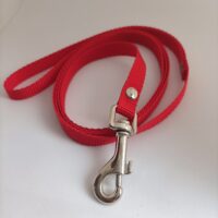 Smycz dla małego psa 10mm/100 cm