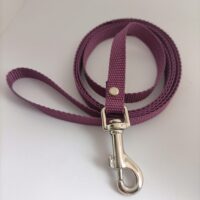 Smycz dla małego psa 10mm/100 cm