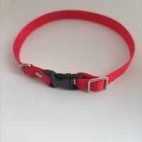 Obroża regulowana dla psa lub kota 25 cm
