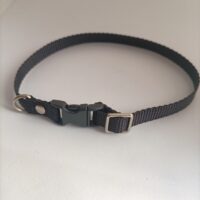 Obroża dla psa lub kota regulowana 30 cm