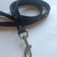 Smycz dla dużego psa prosta 25mm/125cm