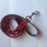Smycz składak dla psa 25mm/250 cm
