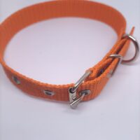 Obroża dla psa 25mm/65 cm