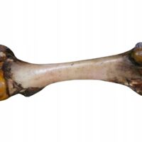 Kość wędzona gigant gryzak ok.35-45cm gnat wołowy