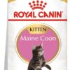 ROYAL CANIN Maine Coon Kitten 1 kg karma na wagę