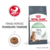ROYAL CANIN Digestive Care 2 kg karma sucha dla kotów dorosłych wspomagająca przebieg trawienia